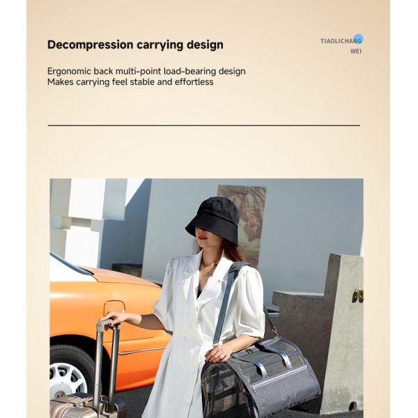 Sacs de voyage pour animaux de compagnie Portable en nylon Portable de luxe Porteur pour chiens de compagnie Ventilation extérieure