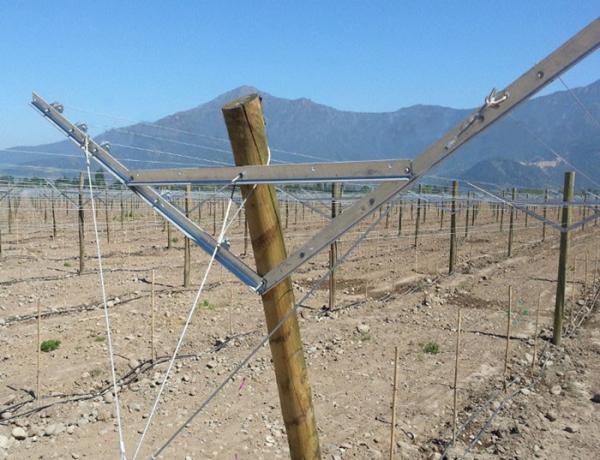 Anti Corrosive Vineyard Trellis Construction Metal Line Vineyard Posts 2.5mm Thick