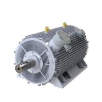 IP54 IP55 380V PMAC Motor de alta potência resfriado a água