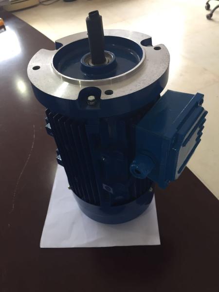 15kw 600V 1800rpm NEMA Standard Motor 60Hz TEFC AC Electric Motor