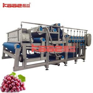 Red Bayberry 500kg-30t/H Concentrated Juice Processing Line SUS304/316
