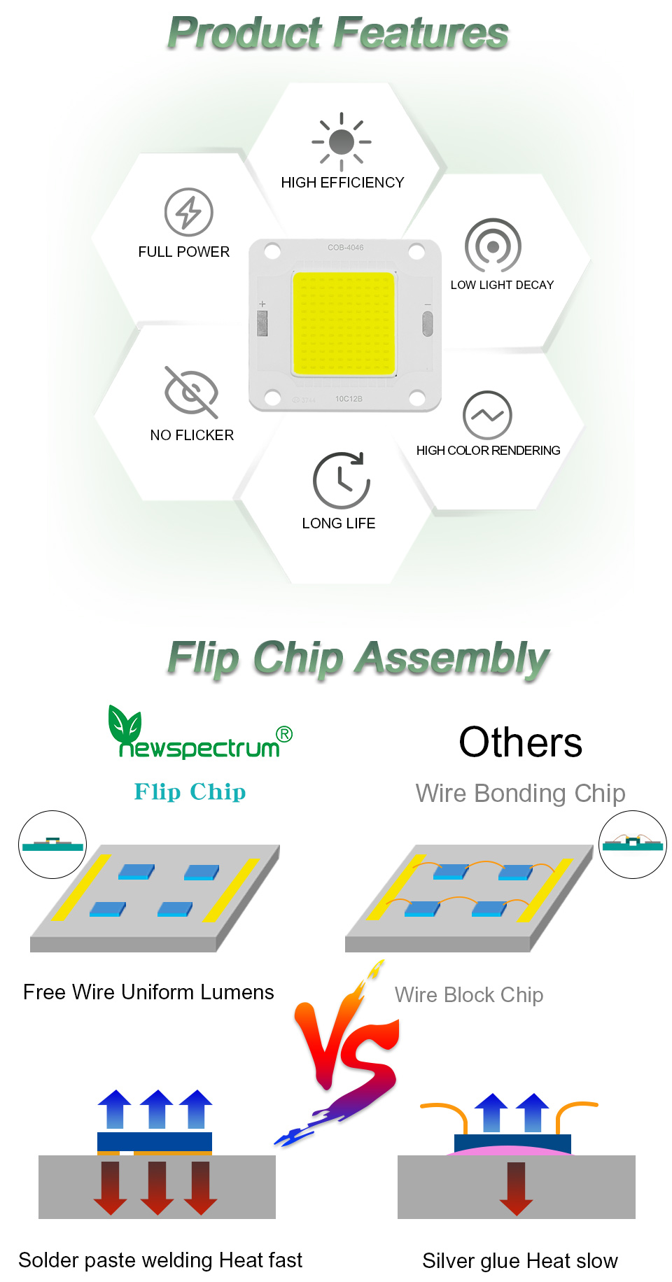 6000k DC COB LED Module High Luminance 20W 6000k Full Spectrum