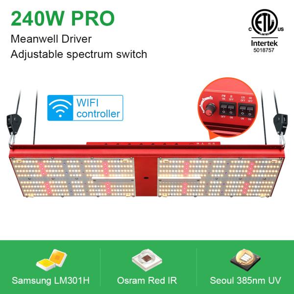 2x4 385nm hidropônico UV crescem a placa LM301H 240W V4 do quantum das luzes