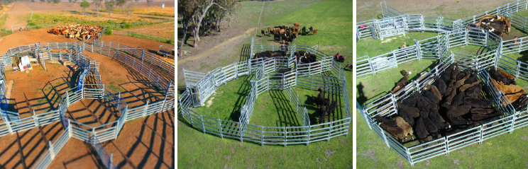 Galvanized Trough Bull Feed Meter Gate Paddock Livestock Fence For Farm