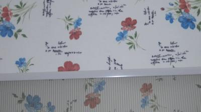 Manual 100% polyester fabric double roller blinds for windows with aluminum toprail
