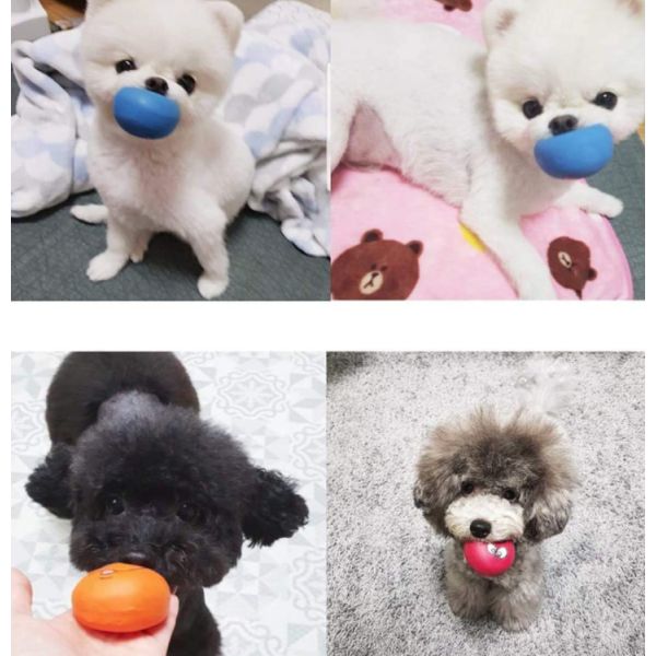 bolas chillonas del perro del látex suave de la cara de la sonrisa 6pcs para los pequeños perros caseros medios del perrito