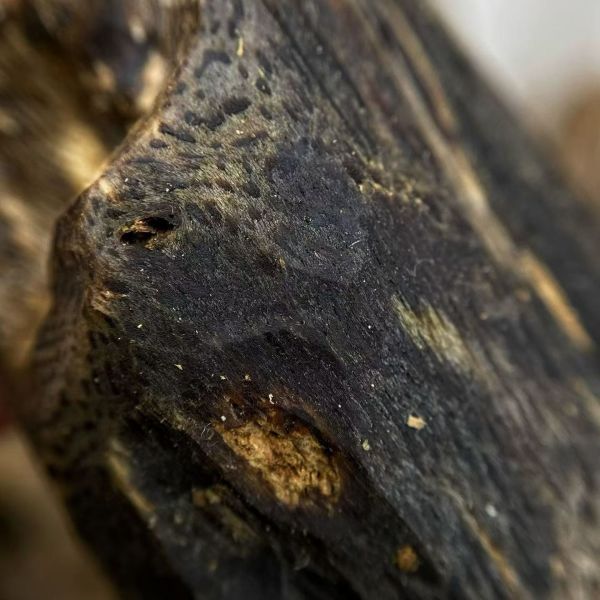 High grade OUD Agarwood resin suitable for crafting exclusive perfumes and therapeutic aromatic products internationally