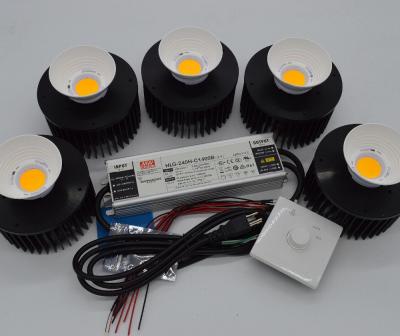 High Efficiency 250W Grow Lights For Indoor Plants with Vero29 COB Led Flowering Grow Lights