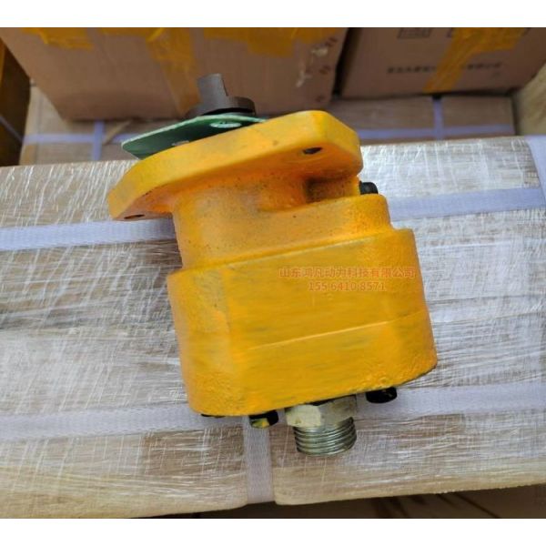 Jichai 2000 Series Diesel Accessories 235.11.00 12V190 Gear Type Oil Pump