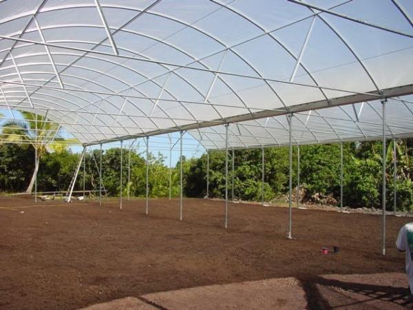 PE Plastic Film Strawberry Plant Greenhouse With Hydroponics System
