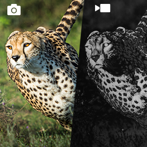 Moonlight Monocular Night Vision Manual Focus