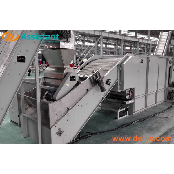 Wood and Coal Heating DL-6CHL-CM16 Tea Leaf Drying Machine with 16m2 Drying Area