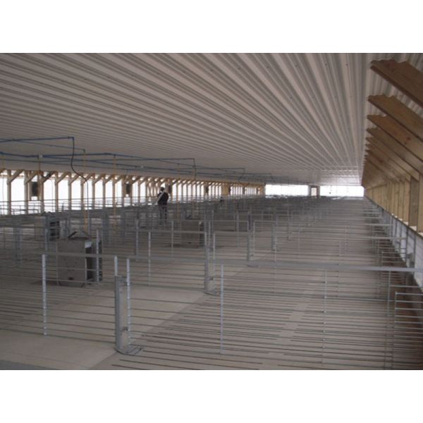 Galvanized Pig Farm Equipment Pig Farrowing Pen Gray Color Alkali Resistance
