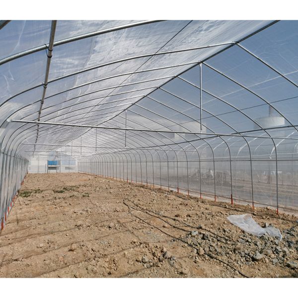 Садовая однотоннельная теплица, экологичная, пленочного типа, для выращивания культур