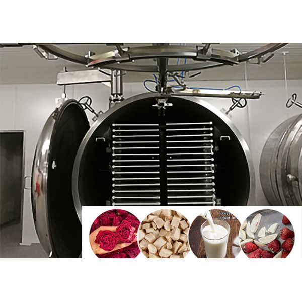 Промышленный вакуумный лиофилизатор 100 кг/партия