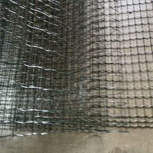 Galvanized+PVC Coated Euro Wire Mesh Fence with 50x50mm Mesh Size for Farm Fence