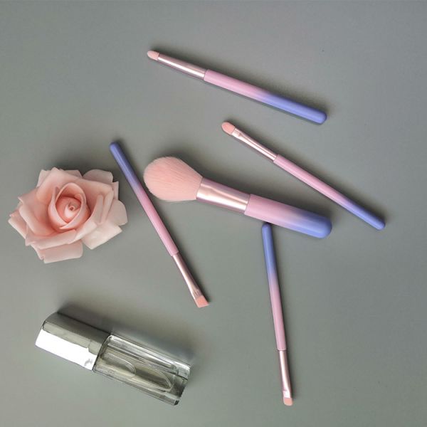 5PCS Pink Mini Travel Makeup Brush Set Synthetic Bristle Portable Wooden Handle