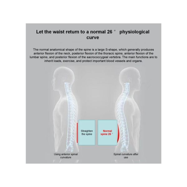 Waist Support Class I Instrument Classification with Excellent and Value by Malak