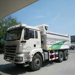 Shacman H3000 Dump Truck 6x4 340HP Tipper Trailer Truck Customized Color