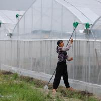 Serre à tunnel commercial en plastique à longue portée