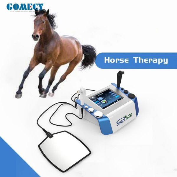Portable High-Performance Radiofrequency Tecar Therapy Machine for Horse Sports Injuries - Advanced Physiotherapy Treatment