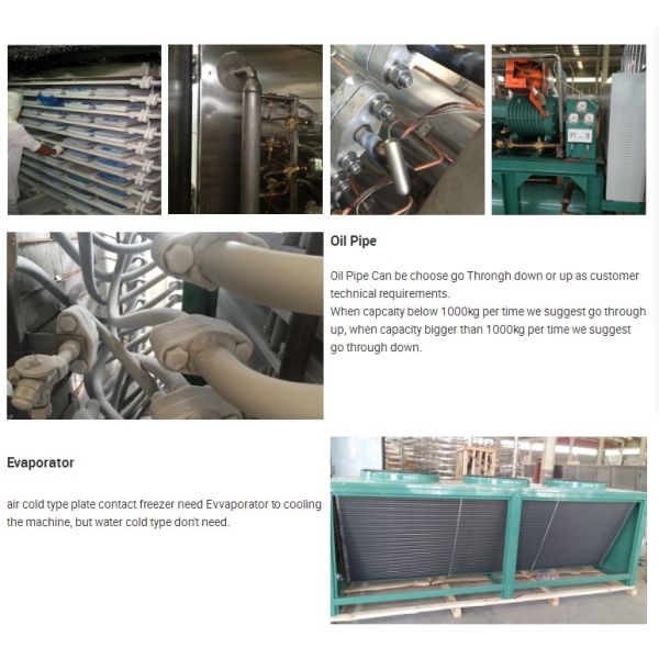 Blast Freezer For Sea Food Fish Processing