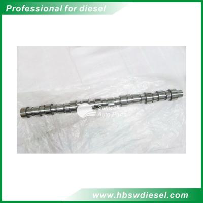 Cummins M11 Diesel Engine Camshaft Replacement 4004556 3087856 Available