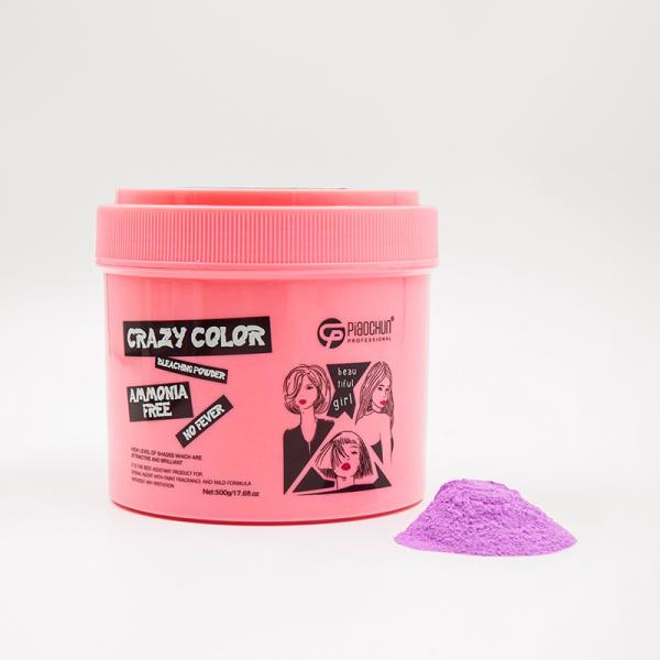 Convenient Professional Permanent Hair Color Powder 500G Ammonia Free Salon Use