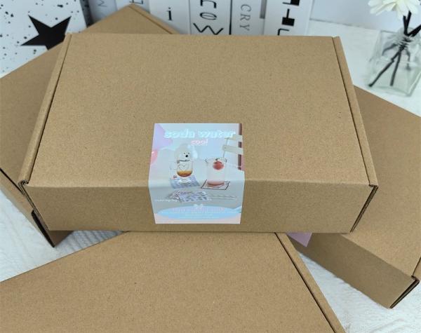 Custom Corrugated Mailer Boxes Eco Friendly Kraft Shipping Packaging