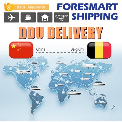 Porto para mover China ao transporte internacional de Bélgica DDU
