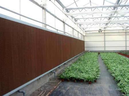 Big Discount Kraft Paper Honeycomb Cooling Pad Water air Cooler System Wet Curtains Cooling Pads for Greenhouse Poultry Farm