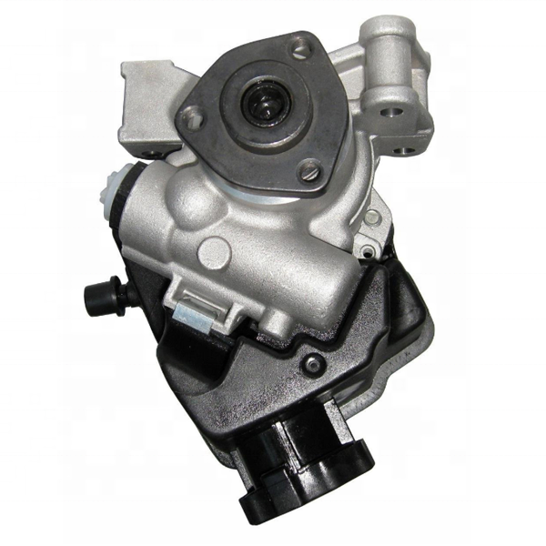 0024667501 0024667601 Hydraulic Power Steering Pump For Benz
