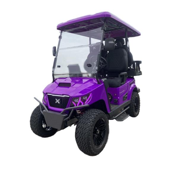 Battery Electric Golf Car Parts Accessories 36V 48V 72V 96V 100Ah 105Ah 200Ah Golf Cart