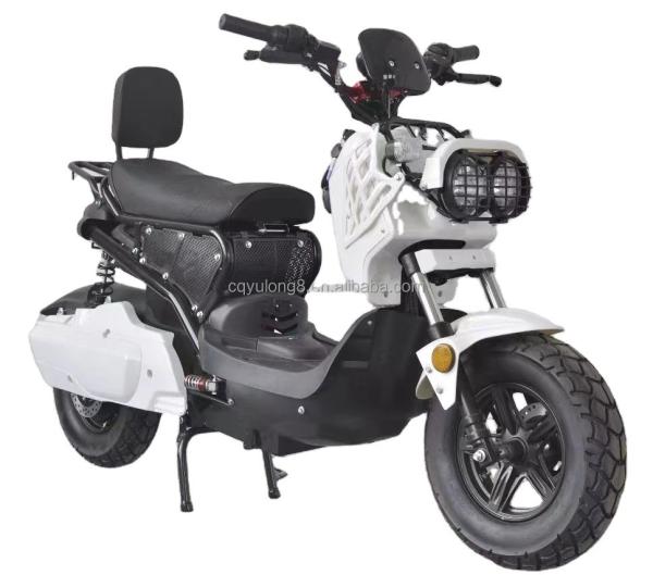 60V Electric Motorcycles EEC Electric Bike Electric Scooter Moped City Bike for Adult