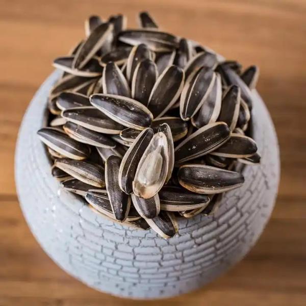 Sunflower Sun Seeds A Nutritious and Delicious Choice for Busy Lifestyles