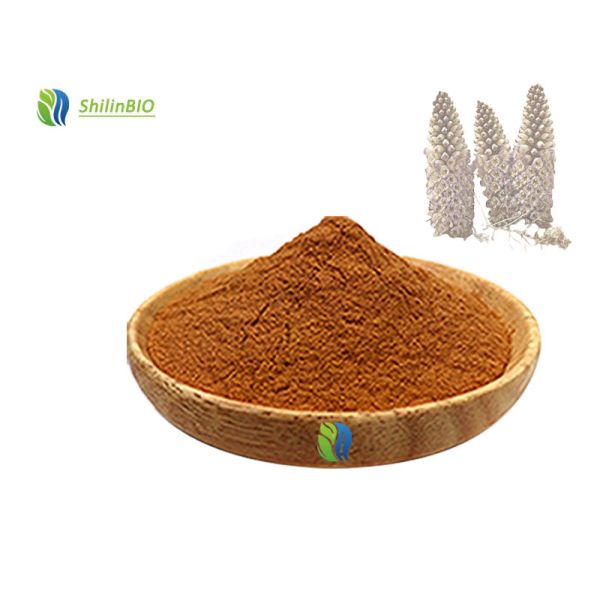 High Quality Cistanche Tubulosa Extract Powder Bulk Cistanche Tubulosa Extract Powder Bulk Cistanche Tubulosa Extract