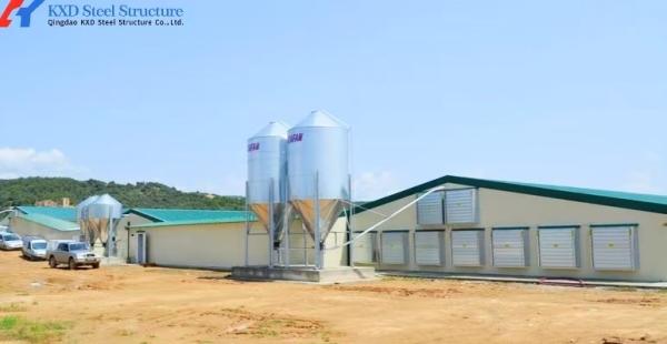 ISO9001 CE認証付きのプレハブ軽量鋼構造鶏舎小屋