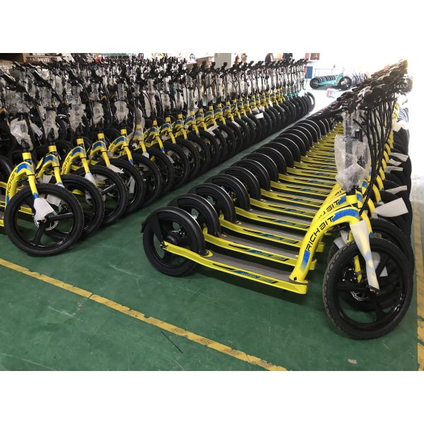 Батарея скутера 250w 36v Lithitum взрослых зада 16inch фронта 20inch электрическая