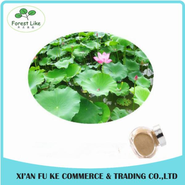 Chinese Herb Medicine Loss Weight Product Lotus Leaf Extract Powder
