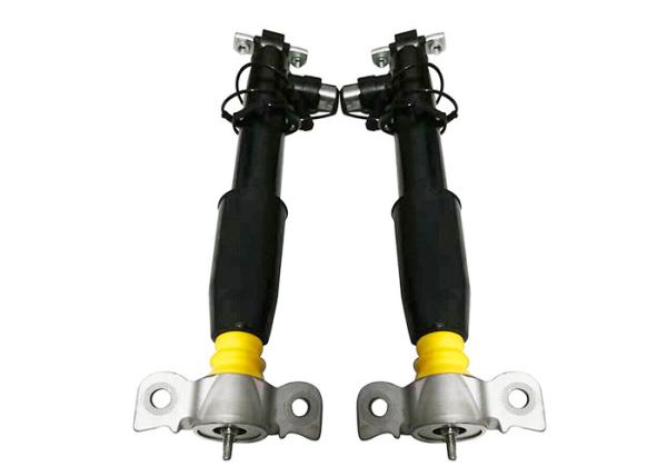 Emparelhe o absorvente de choque elétrico traseiro do gás de L+R suporta Assy ASH 24513 ASH24514 para Lincoln MKZ 2013-2020