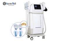 Brûlez le gros corps formant la réduction Hiemt SME de cellulites amincissant la machine de perte de poids de la machine 2.3kva SME
