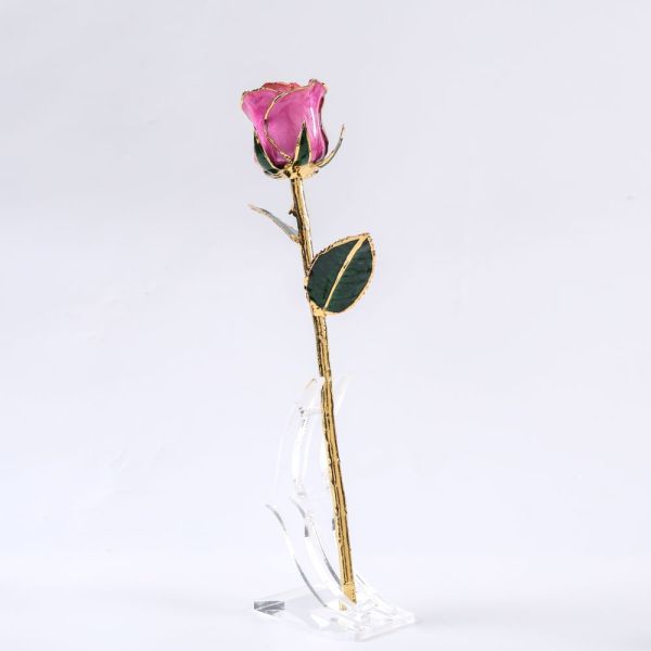 European and American 24k Gold-plated Rose Gold Natural Real Rose Valentine's Day Wedding Anniversary Proposal love Gift