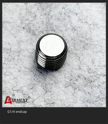 G1/4 ENDCAP de aço inoxidável rápidos conectam os encaixes do ar