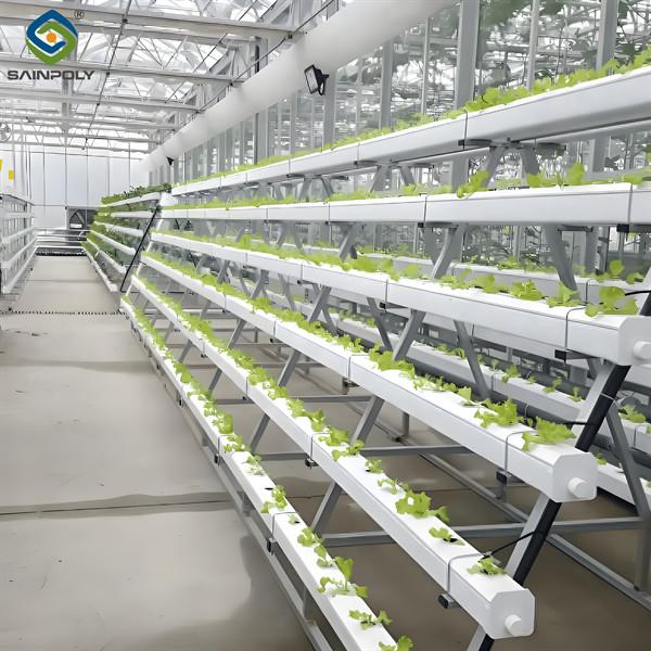 Customization Hydroponic System Greenhouse With Rolling Benches