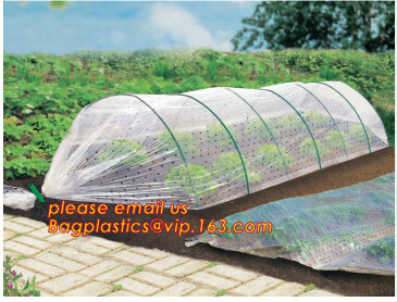 Transparent Low Tunnel Film Perforated For Culture Of Seedling Maturing Vegetables perforated red plastic mulch