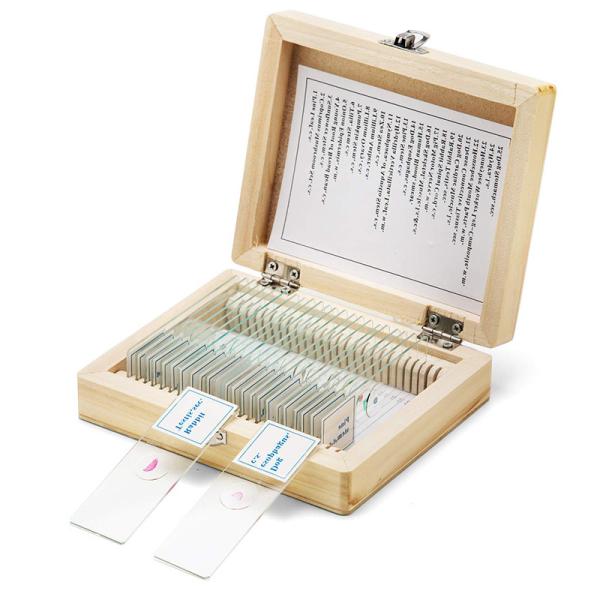 Biological Science Education PS25 Prepared Microscope Slide Set With Wooden Case