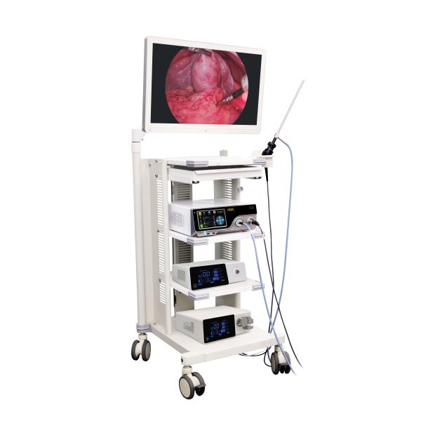 AI 4K UHD Endoscopic Camera System Built-in 100W LED Light Source & 4K Recorder 1/1.8 Sony CMOS Surgical Laparoscopy Imaging Equipment