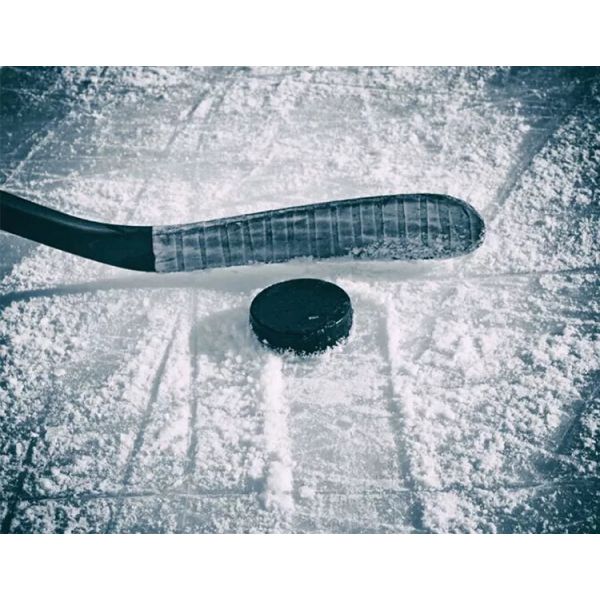 Твердый прочный PVC покрасил шайбы хоккея не токсическое Eco дружелюбный