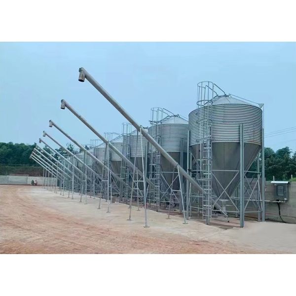 Hot Galvanized Steel Animal Feed Silo 3-30 Ton Feed Grain Bin