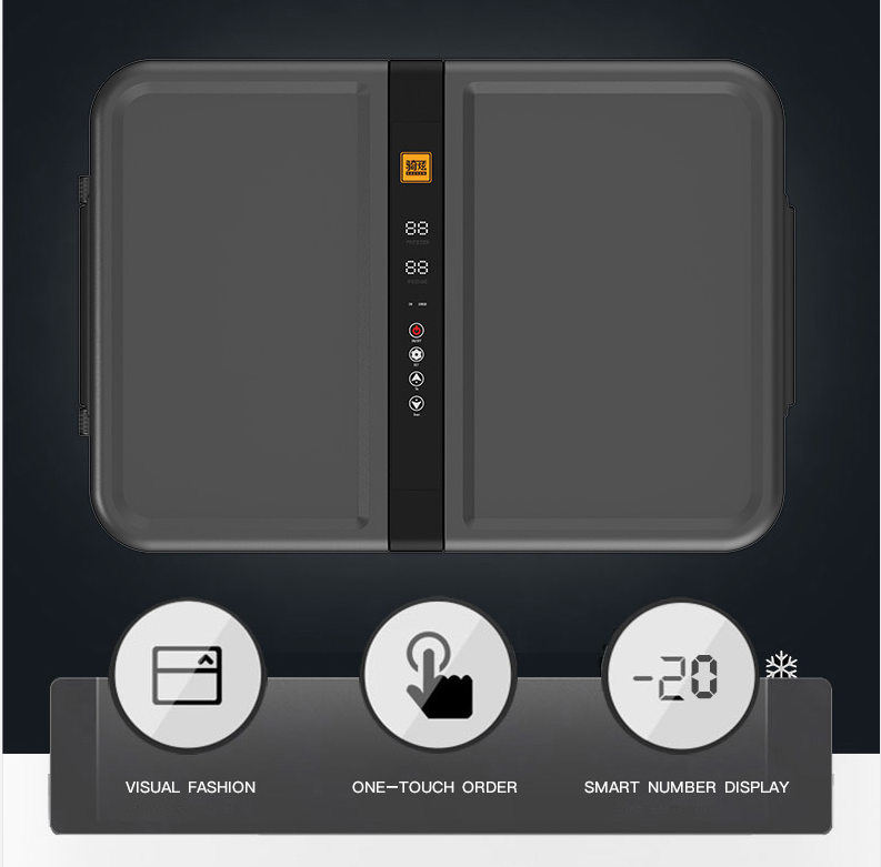 Холодильник замораживателя автомобиля холодильника DC12V комнаты вагонетки двойным установленный автомобилем